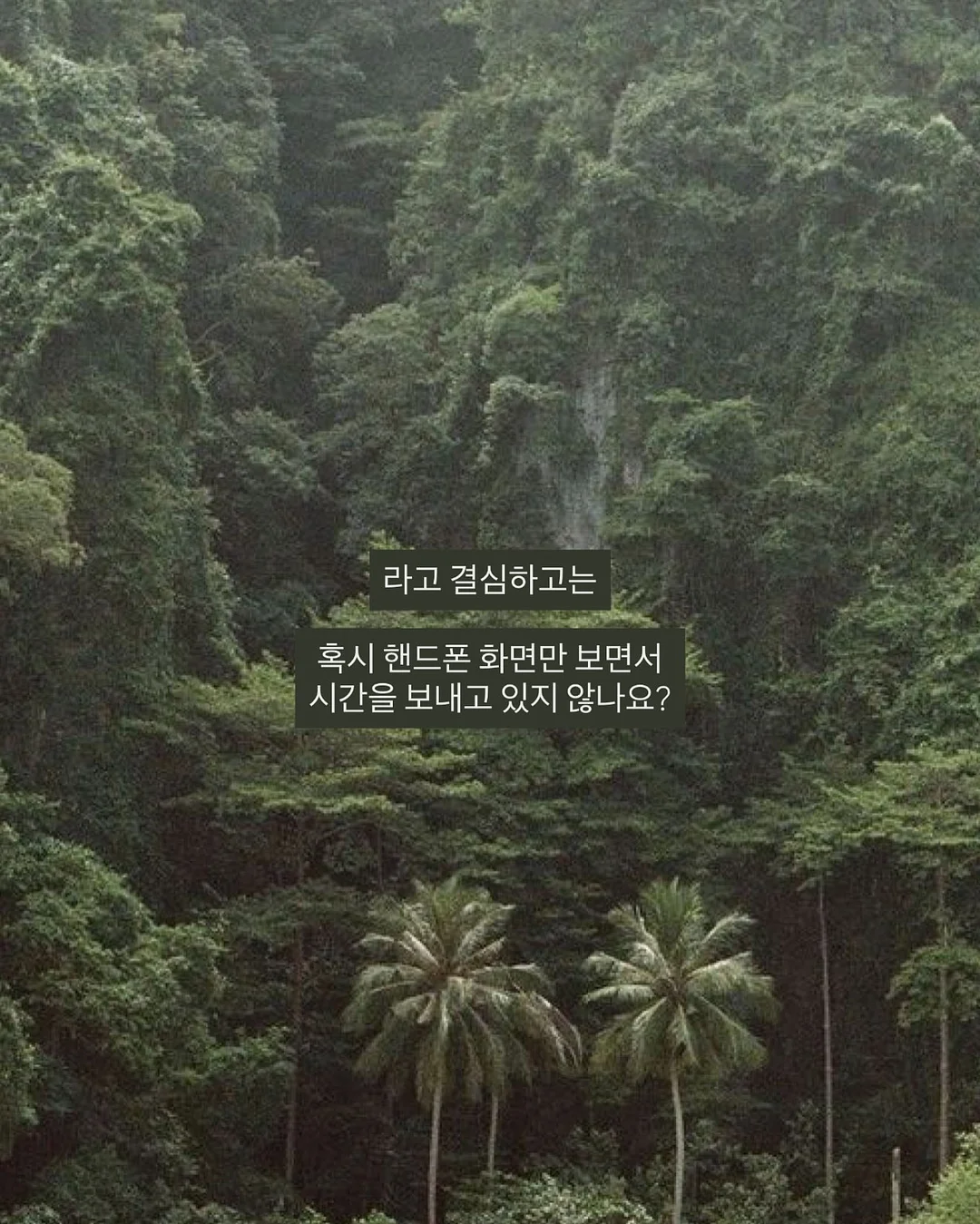 메링 모바일 청첩장 3