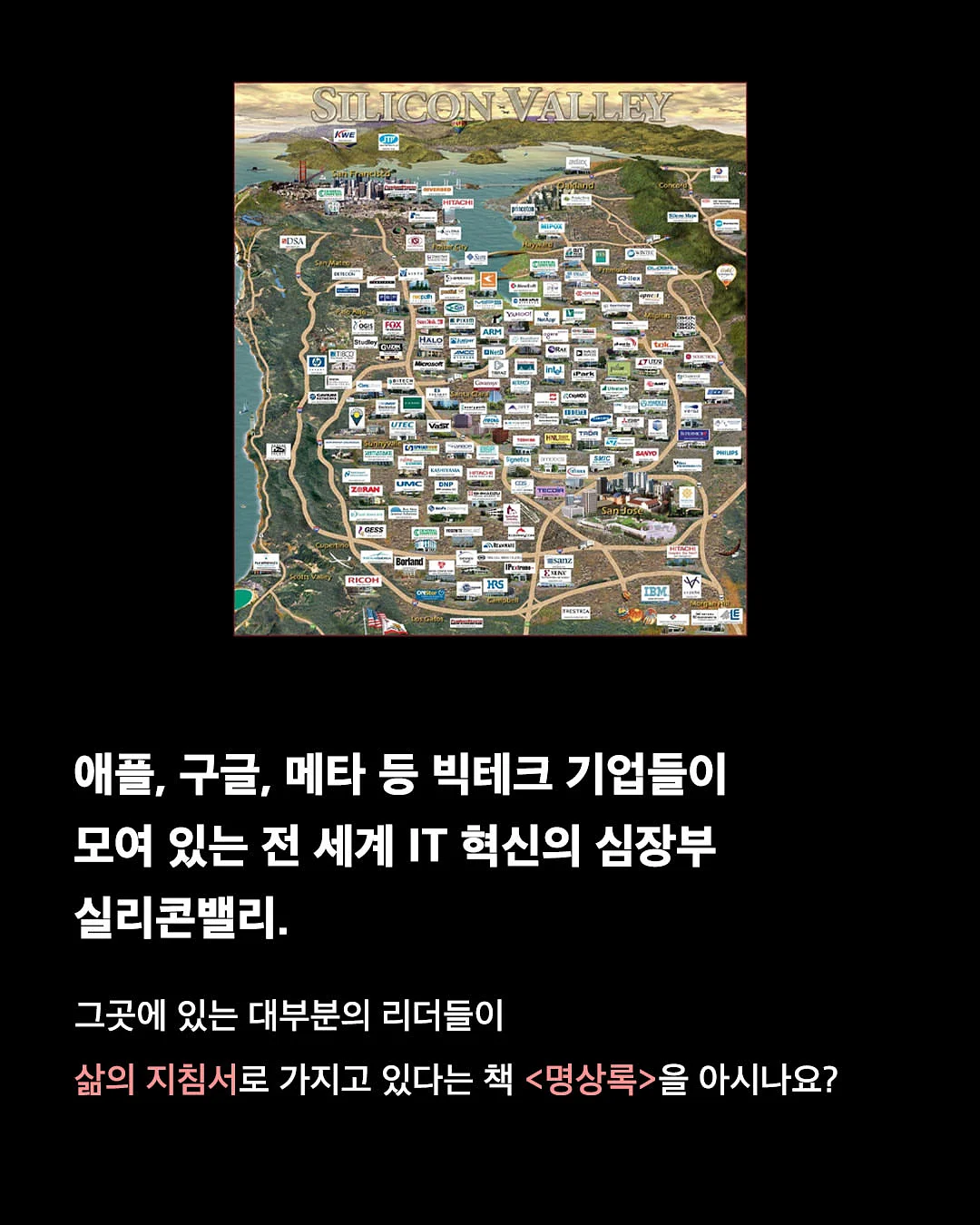 유기견 방 후원 2