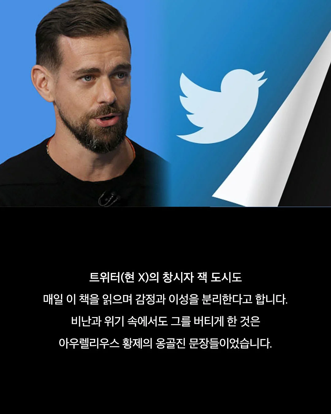 유기견 방 후원 4