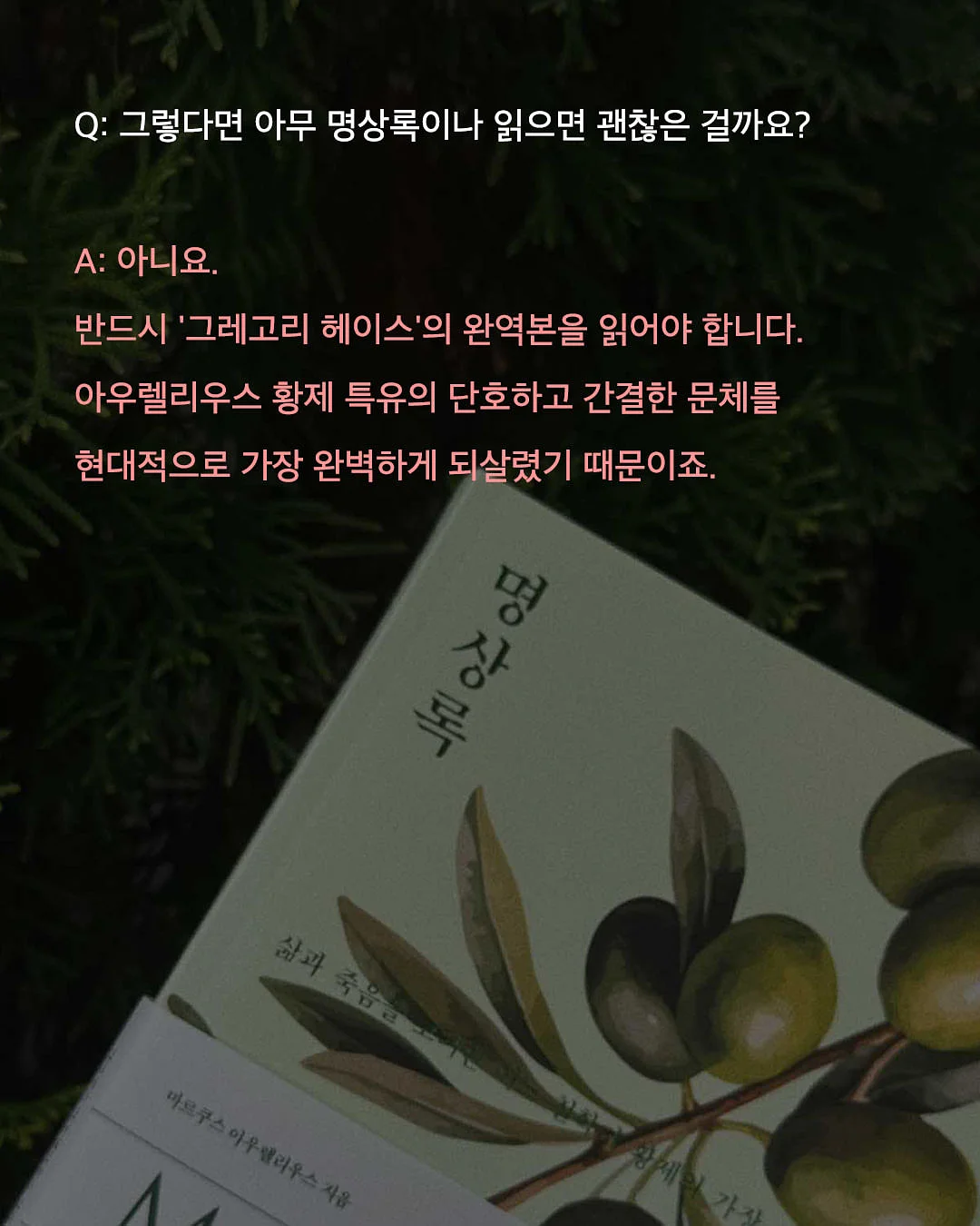 유기견 방 후원 7