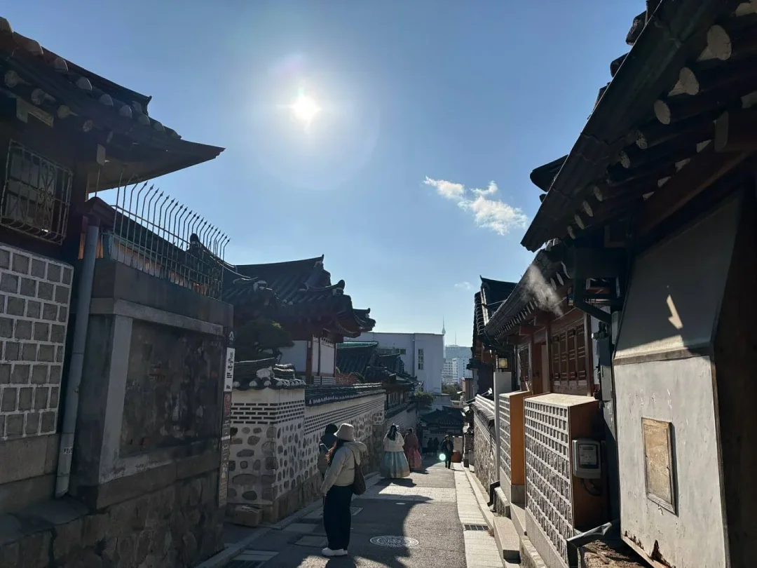 코오롱제약 상어연골 콘드로이친 7