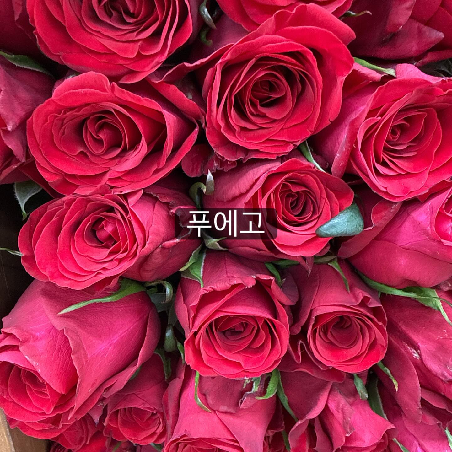 매직블라인드 매트블랙 1
