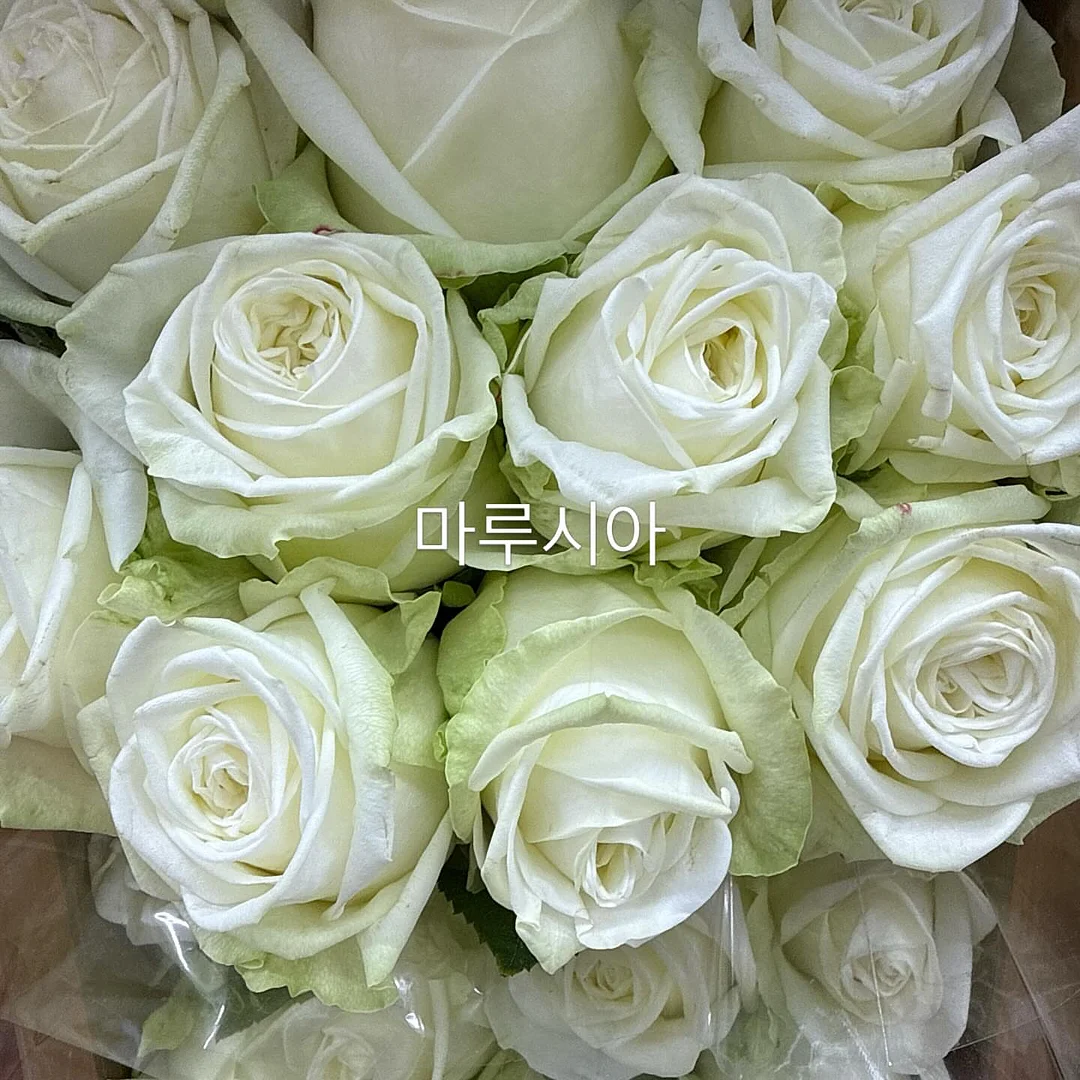 매직블라인드 매트블랙 2