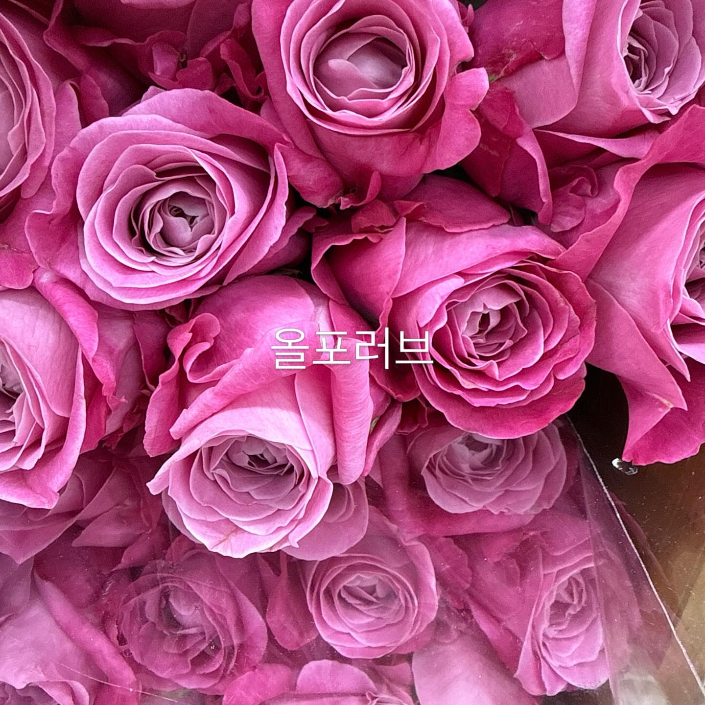 매직블라인드 매트블랙 5