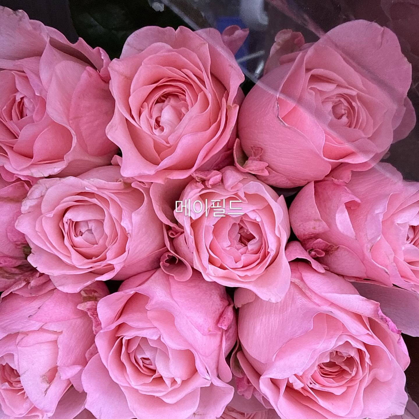 매직블라인드 매트블랙 8