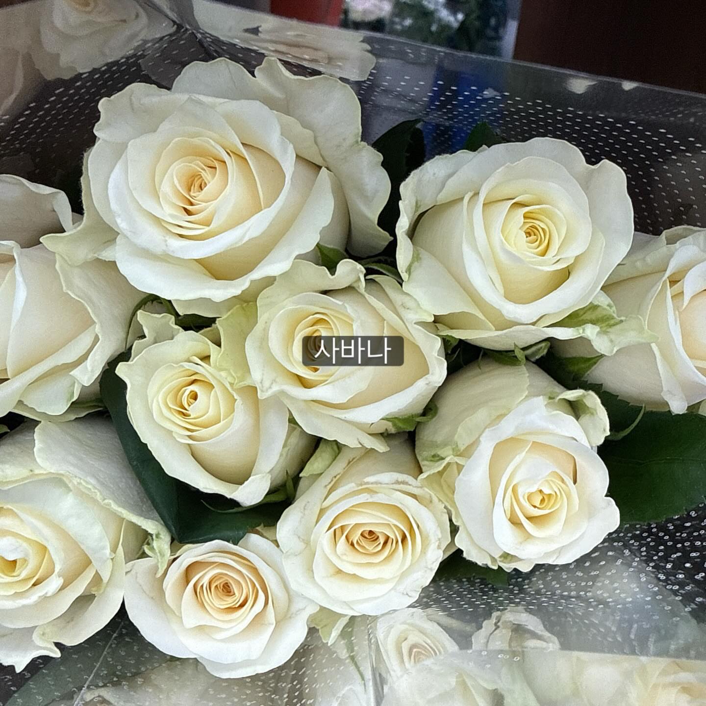 매직블라인드 매트블랙 9