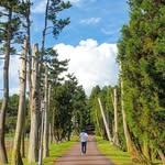 laftelskore_official