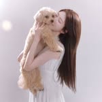 oyeseo_yakia