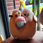litcletini_official
