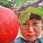 gimclnhong5