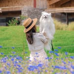 zzuni_1725