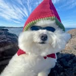 mfmoms_recipe
