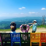 honeiauction_official