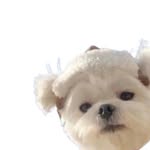 ryan_aonb