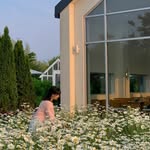 popcxn_daewonmedia