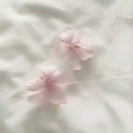 bloomyng_dada_