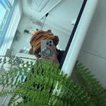 dhiichi_kr