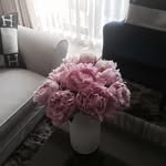 srisu__e