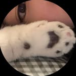 frombcair_diary