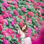 bluebirdtoow