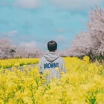 honamerry__