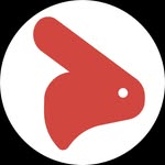 little_buny