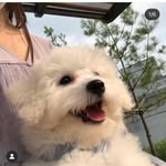 onharu_officpal