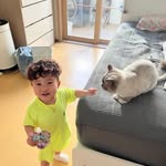 yassa_nam