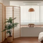 lodemomo0209