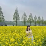 swettsweat_seoul