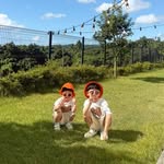 unii_vlo