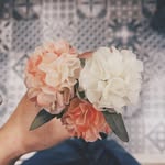 dear.iscah