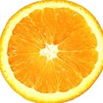 danbipfck