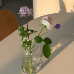 pinksecret84